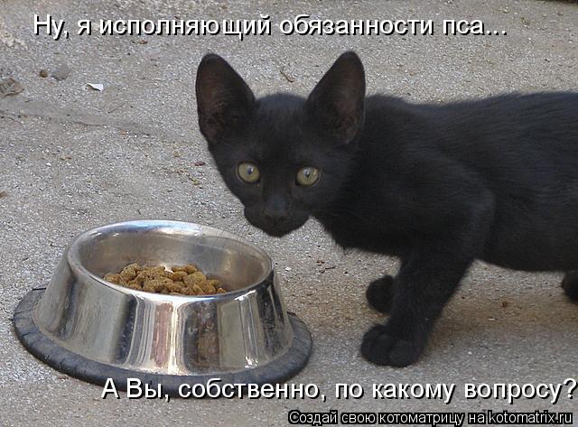 Ну, я исполняющий обязанности пса... А Вы, собственно, по какому вопросу?... Котоматрица: Ну, я исполняющий обязанности пса... А Вы, собственно, по какому вопросу?