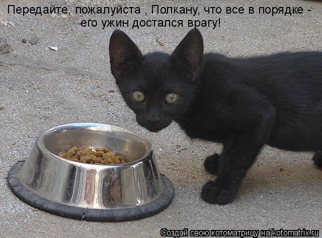 Передайте, пожалуйста , Полкану, что все в порядке - его ужин достался врагу!... Котоматрица: Передайте, пожалуйста , Полкану, что все в порядке - его ужин достался врагу!