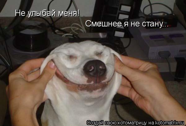Не улыбай меня! Смешнее я не стану...... Котоматрица: Не улыбай меня! Смешнее я не стану...