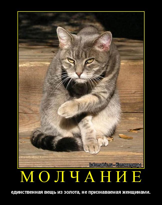 Молчание единственная вещь из золота, не признаваемая женщинами.... Котоматрица: Молчание единственная вещь из золота, не признаваемая женщинами.
