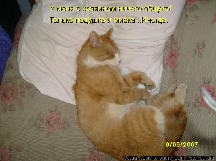 У меня с хозяином ничего общего! Только подушка и миска...Иногда.... Котоматрица: У меня с хозяином ничего общего! Только подушка и миска...Иногда.
