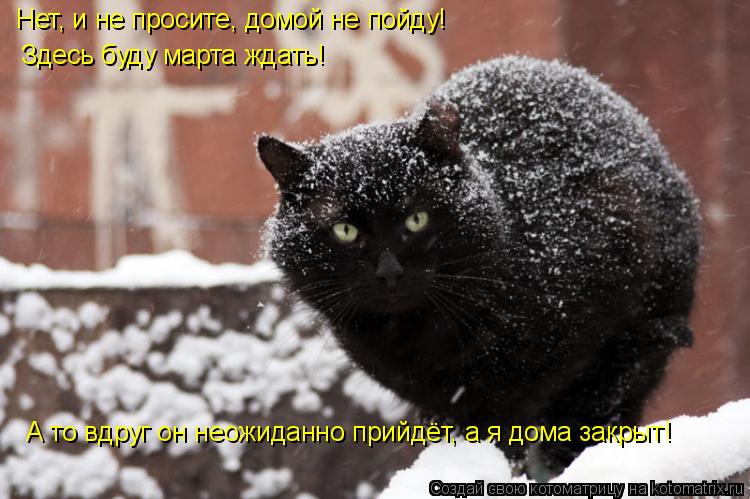 Нет, и не просите, домой не пойду! Здесь буду марта ждать! А то вдруг он неожиданно прийдёт, а я дома... Котоматрица: Нет, и не просите, домой не пойду! Здесь буду марта ждать! А то вдруг он неожиданно прийдёт, а я дома закрыт!