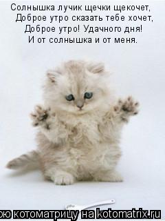 Котоматрица: Солнышка лучик щечки щекочет, Доброе утро сказать тебе хочет, Доброе утро! Удачного дня! И от солнышка и от меня.
