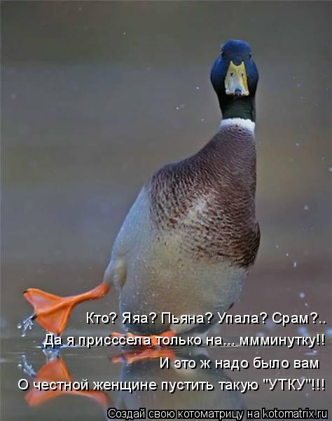 Да я присссела только на... ммминутку!! И это ж надо было вам Кто? Яяа? Пьяна? Упала? Срам?.. О честн... Котоматрица: Да я присссела только на... ммминутку!! И это ж надо было вам Кто? Яяа? Пьяна? Упала? Срам?.. О честной женщине пустить такую "УТКУ"!!!