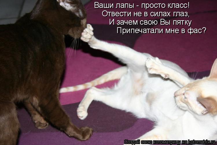 Ваши лапы - просто класс! Отвести не в силах глаз, И зачем свою Вы пятку Припечатали мне в фас?... Котоматрица: Ваши лапы - просто класс! Отвести не в силах глаз, И зачем свою Вы пятку Припечатали мне в фас?