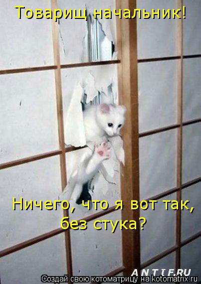 Товарищ начальник! Ничего, что я вот так, без стука?... Котоматрица: Товарищ начальник! Ничего, что я вот так, без стука?