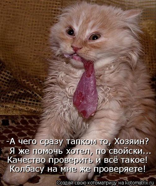 -А чего сразу тапком то, Хозяин? Я же помочь хотел, по свойски... Качество проверить и всё такое! Кол... Котоматрица: -А чего сразу тапком то, Хозяин? Я же помочь хотел, по свойски... Качество проверить и всё такое! Колбасу на мне же проверяете!