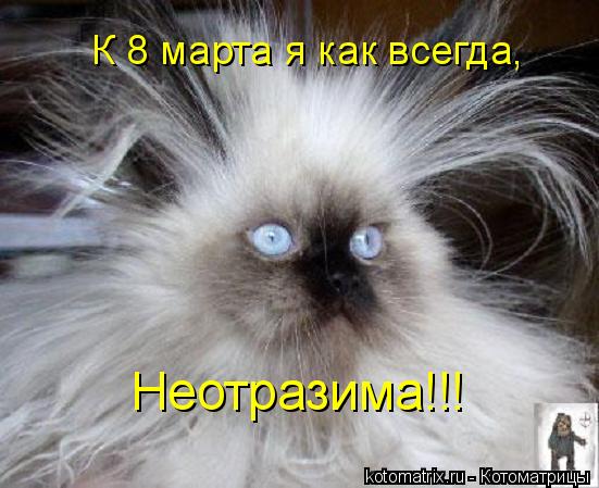 К 8 марта я как всегда, Неотразима!!!... Котоматрица: К 8 марта я как всегда, Неотразима!!!