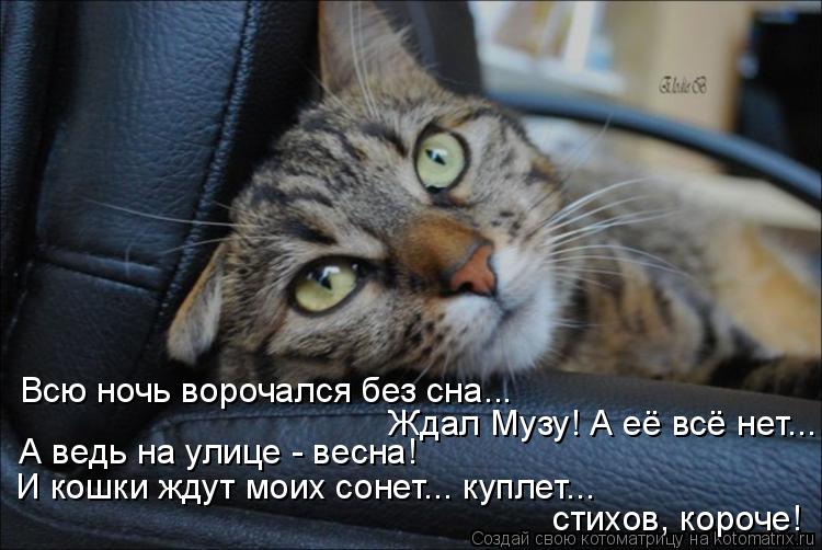 И кошки ждут моих сонет... куплет... стихов, короче! А ведь на улице - весна! Ждал Музу! А её всё н... Котоматрица: И кошки ждут моих сонет... куплет... стихов, короче! А ведь на улице - весна! Ждал Музу! А её всё нет... Всю ночь ворочался без сна...