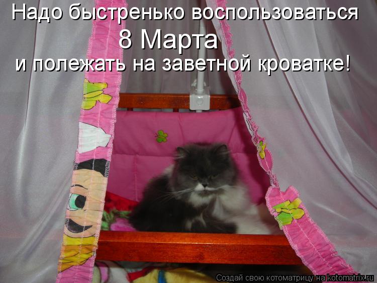 и полежать на заветной кроватке! Надо быстренько воспользоваться 8 Марта... Котоматрица: и полежать на заветной кроватке! Надо быстренько воспользоваться 8 Марта