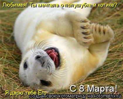 Я дарю тебе Его Любимая! Ты мечтала о полушубке и котике? С 8 Марта!... Котоматрица: Я дарю тебе Его Любимая! Ты мечтала о полушубке и котике? С 8 Марта!