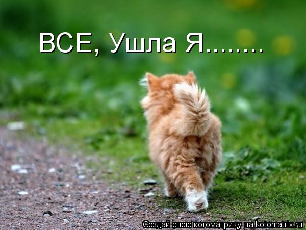 ВСЕ, Ушла Я........... Котоматрица: ВСЕ, Ушла Я........