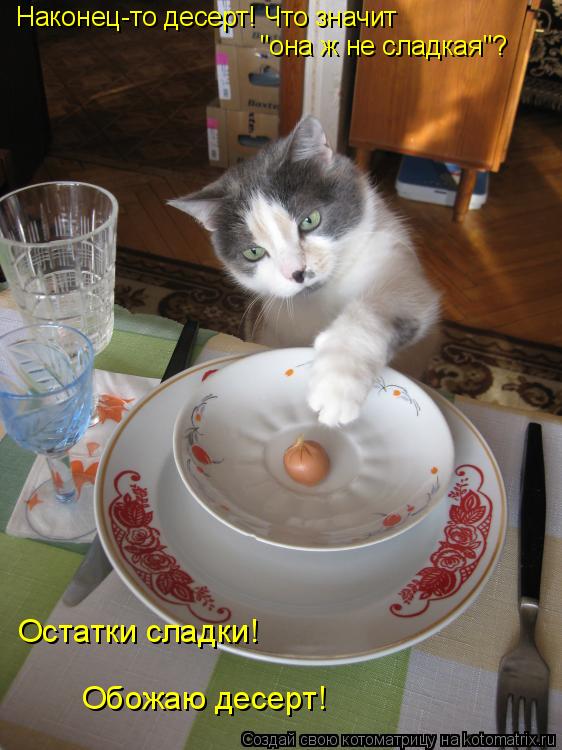 "она ж не сладкая"? Наконец-то десерт! Что значит Остатки сладки! Обожаю десерт!... Котоматрица: "она ж не сладкая"? Наконец-то десерт! Что значит Остатки сладки! Обожаю десерт!