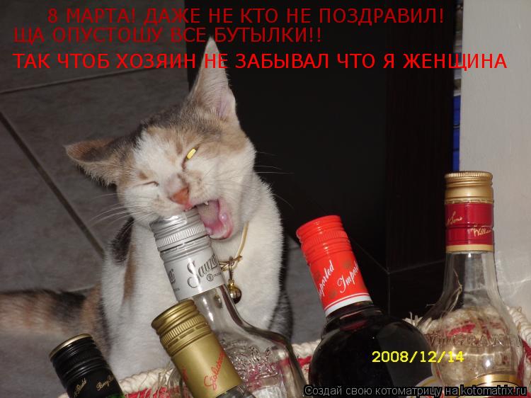 8 МАРТА! ДАЖЕ НЕ КТО НЕ ПОЗДРАВИЛ! ЩА ОПУСТОШУ ВСЕ БУТЫЛКИ!! ТАК ЧТОБ ХОЗЯИН НЕ ЗАБЫВАЛ ЧТО Я ЖЕНЩИ... Котоматрица: 8 МАРТА! ДАЖЕ НЕ КТО НЕ ПОЗДРАВИЛ! ЩА ОПУСТОШУ ВСЕ БУТЫЛКИ!! ТАК ЧТОБ ХОЗЯИН НЕ ЗАБЫВАЛ ЧТО Я ЖЕНЩИНА