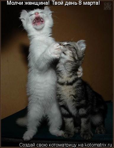 Молчи женщина! Твой день 8 марта!... Котоматрица: Молчи женщина! Твой день 8 марта!