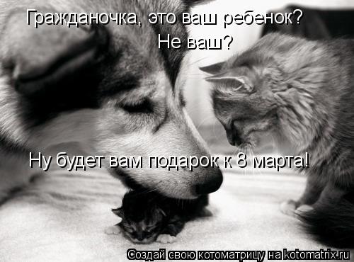 Котоматрица: Гражданочка, это ваш ребенок? Не ваш? Ну будет вам подарок к 8 марта!
