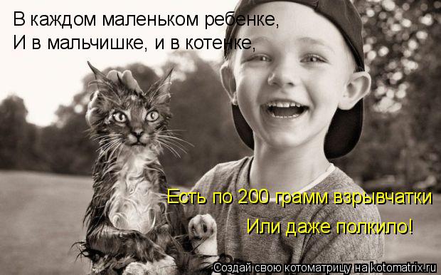 Котоматрица: В каждом маленьком ребенке, И в мальчишке, и в котенке, Есть по 200 грамм взрывчатки Или даже полкило!