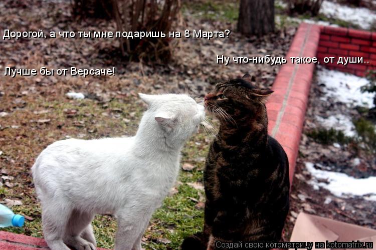 Дорогой, а что ты мне подаришь на 8 Марта? Ну что-нибудь такое, от души.. Лучше бы от Версаче!... Котоматрица: Дорогой, а что ты мне подаришь на 8 Марта? Ну что-нибудь такое, от души.. Лучше бы от Версаче!