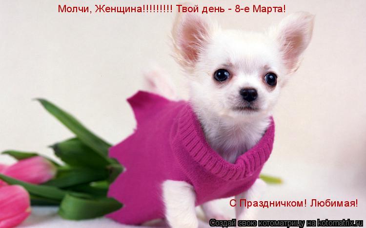 Молчи, Женщина!!!!!!!!! Твой день - 8-е Марта! С Праздничком! Любимая!... Котоматрица: Молчи, Женщина!!!!!!!!! Твой день - 8-е Марта! С Праздничком! Любимая!
