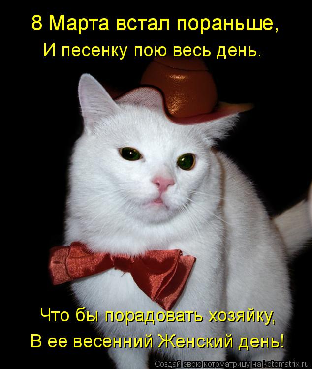 Что бы порадовать хозяйку, В ее весенний Женский день! И песенку пою весь день. 8 Марта встал пораньш... Котоматрица: Что бы порадовать хозяйку, В ее весенний Женский день! И песенку пою весь день. 8 Марта встал пораньше,