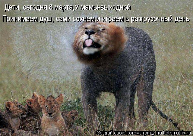 Котоматрица: Дети, сегодня 8 марта,У мамы-выходной Принимаем душ, сами сохнем,и играем в разгрузочный день
