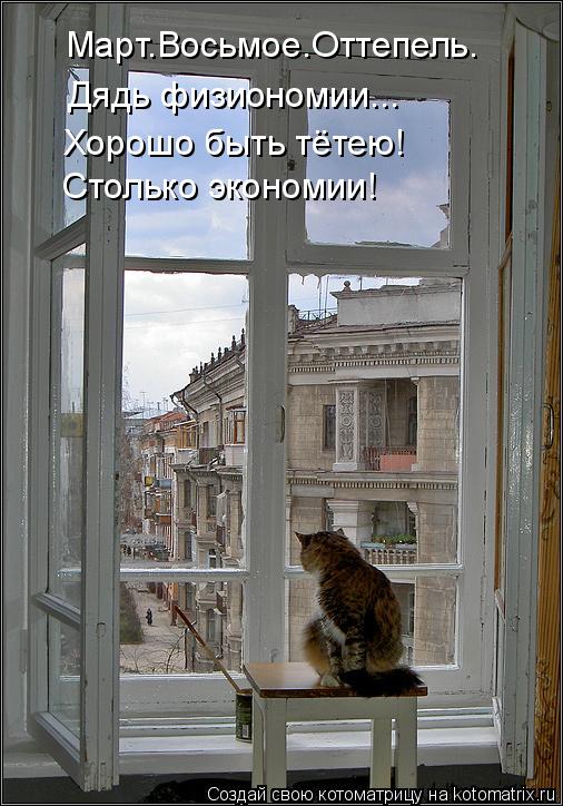 Котоматрица: Март.Восьмое.Оттепель. Дядь физиономии... Хорошо быть тётею! Столько экономии!