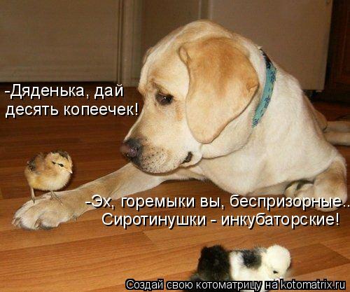 -Дяденька, дай десять копеечек! Сиротинушки - инкубаторские! -Эх, горемыки вы, беспризорные..... Котоматрица: -Дяденька, дай десять копеечек! Сиротинушки - инкубаторские! -Эх, горемыки вы, беспризорные..