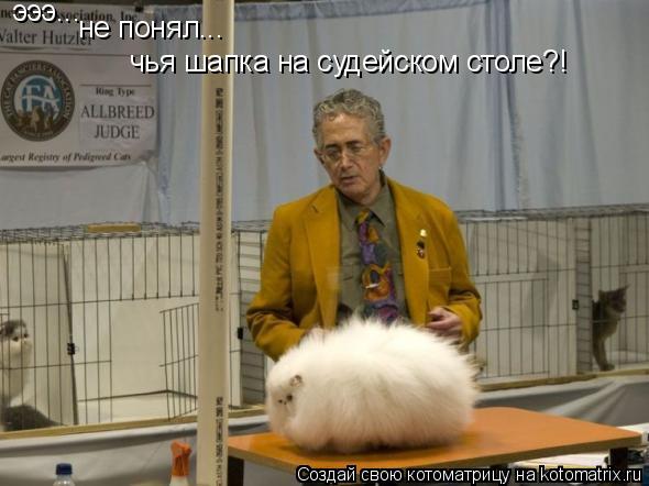 Котоматрица: эээ... не понял... чья шапка на судейском столе?!