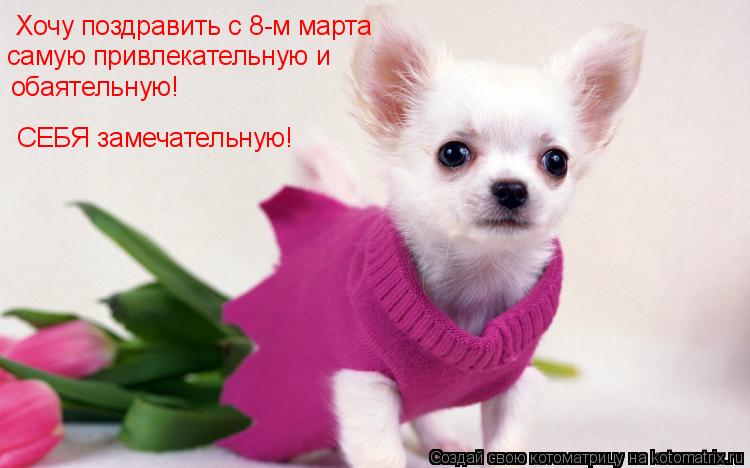 Котоматрица: Хочу поздравить с 8-м марта обаятельную! СЕБЯ замечательную! самую привлекательную и