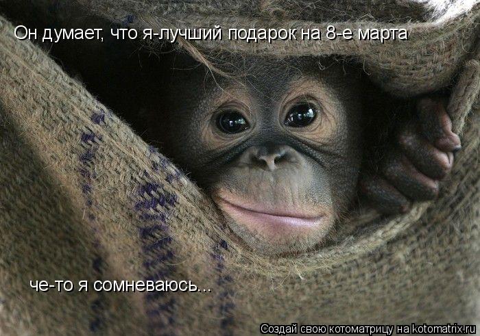 Он думает, что я-лучший подарок на 8-е марта че-то я сомневаюсь...... Котоматрица: Он думает, что я-лучший подарок на 8-е марта че-то я сомневаюсь...