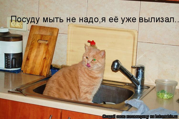 Котоматрица: Посуду мыть не надо,я её уже вылизал....