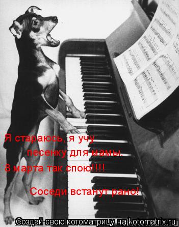 Котоматрица: 8 марта так спою!!!! Соседи встанут рано! Я стараюсь, я учу песенку для мамы.