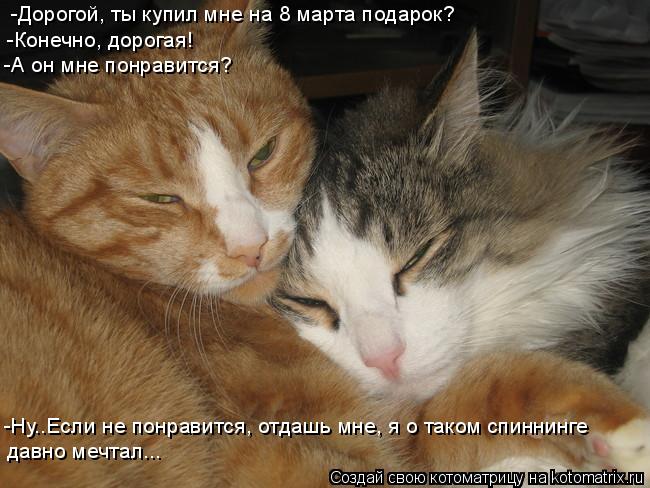 Котоматрица: -Дорогой, ты купил мне на 8 марта подарок? -Конечно, дорогая!  -А он мне понравится? -Ну..Если не понравится, отдашь мне, я о таком спиннинге  давн