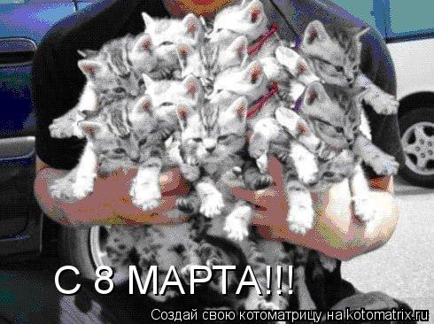 Котоматрица: С 8 МАРТА!!!