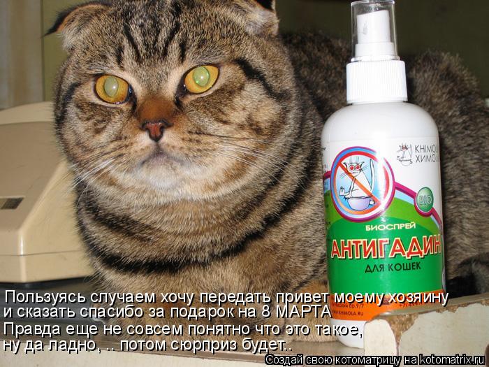 Пользуясь случаем хочу передать привет моему хозяину и сказать спасибо за подарок на 8 МАРТА Правда ... Котоматрица: Пользуясь случаем хочу передать привет моему хозяину и сказать спасибо за подарок на 8 МАРТА Правда еще не совсем понятно что это такое, ну