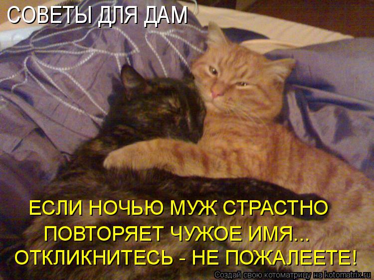 ОТКЛИКНИТЕСЬ - НЕ ПОЖАЛЕЕТЕ! ЕСЛИ НОЧЬЮ МУЖ СТРАСТНО ПОВТОРЯЕТ ЧУЖОЕ ИМЯ... СОВЕТЫ ДЛЯ ДАМ... Котоматрица: ОТКЛИКНИТЕСЬ - НЕ ПОЖАЛЕЕТЕ! ЕСЛИ НОЧЬЮ МУЖ СТРАСТНО ПОВТОРЯЕТ ЧУЖОЕ ИМЯ... СОВЕТЫ ДЛЯ ДАМ