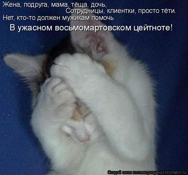 Жена, подруга, мама, тёща, дочь, Сотрудницы, клиентки, просто тёти… Нет, кто-то должен мужикам помо... Котоматрица: Жена, подруга, мама, тёща, дочь, Сотрудницы, клиентки, просто тёти… Нет, кто-то должен мужикам помочь В ужасном восьмомартовском цейтноте!