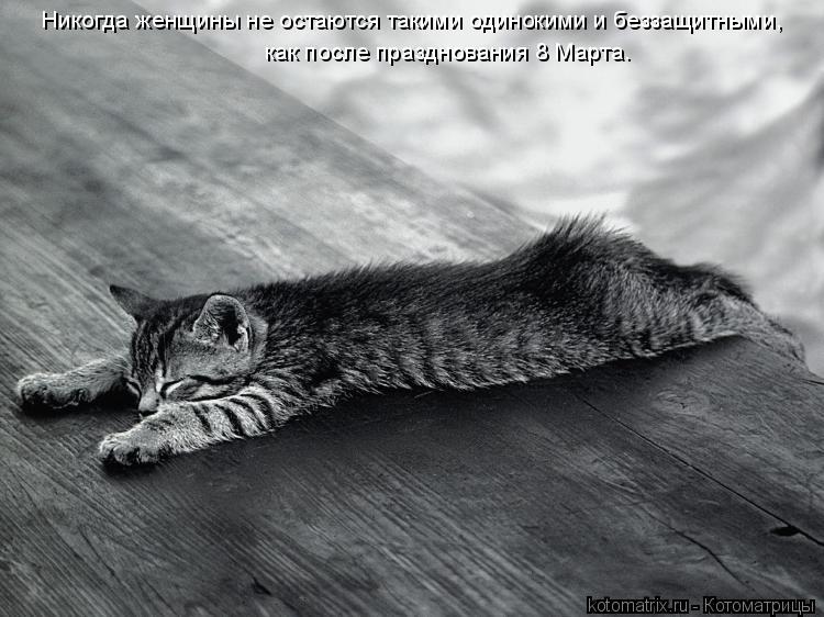 Котоматрица: Никогда женщины не остаются такими одинокими и беззащитными,  как после празднования 8 Марта.
