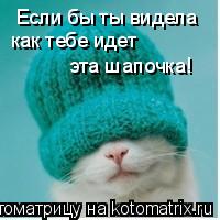 Котоматрица: Если бы ты видела как тебе идет  эта шапочка!