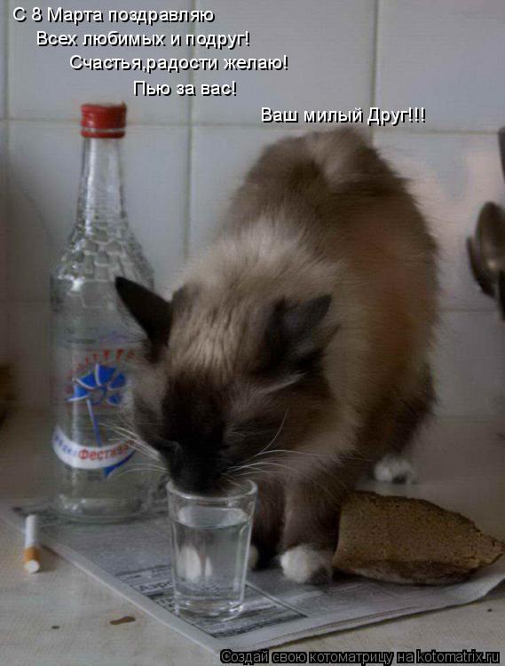 Котоматрица: С 8 Марта поздравляю Счастья,радости желаю! Всех любимых и подруг! Пью за вас! Ваш милый Друг!!!