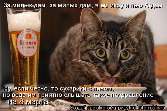 За милых дам, за милых дам, я ем икру и пью Агдам. Ну, если чесно, то сухарики с пивом, но ведь им п... Котоматрица: За милых дам, за милых дам, я ем икру и пью Агдам. Ну, если чесно, то сухарики с пивом, но ведь им приятно слышать такое поздравление на 8 март