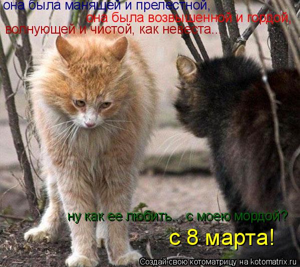 она была возвышенной и гордой, волнующей и чистой, как невеста... ну как ее любить... с моею мордой? ... Котоматрица: она была возвышенной и гордой, волнующей и чистой, как невеста... ну как ее любить... с моею мордой? с 8 марта! она была манящей и прелестной,