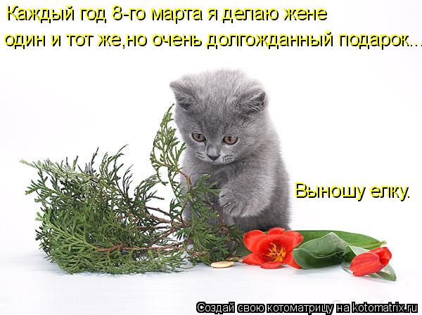 Каждый год 8-го марта я делаю жене один и тот же,но очень долгожданный подарок... Выношу елку.... Котоматрица: Каждый год 8-го марта я делаю жене один и тот же,но очень долгожданный подарок... Выношу елку.