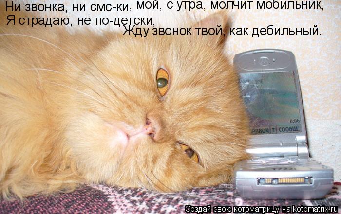 Котоматрица: Ни звонка, ни смс-ки , мой, с утра, молчит мобильник, Я страдаю, не по-детски, Жду звонок твой, как дебильный.