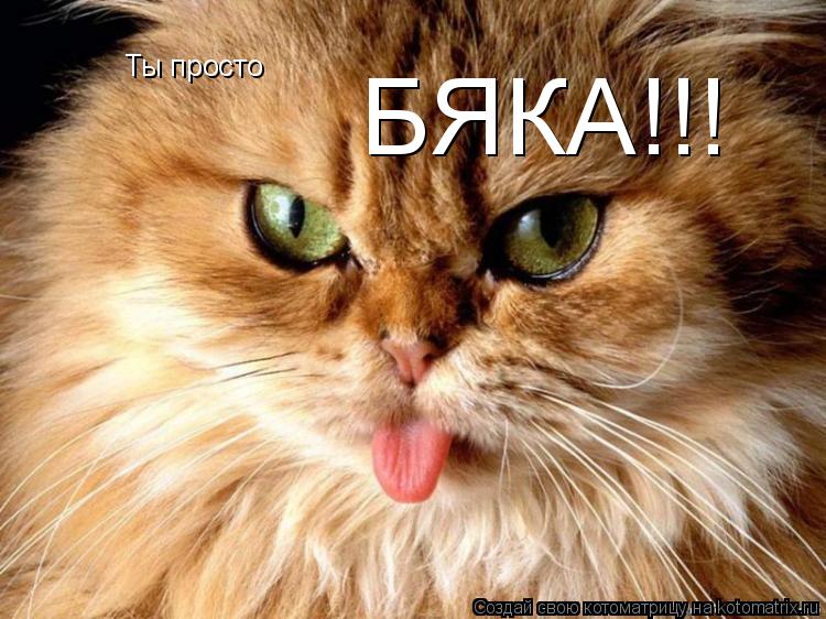 Ты просто БЯКА!!!... Котоматрица: Ты просто БЯКА!!!