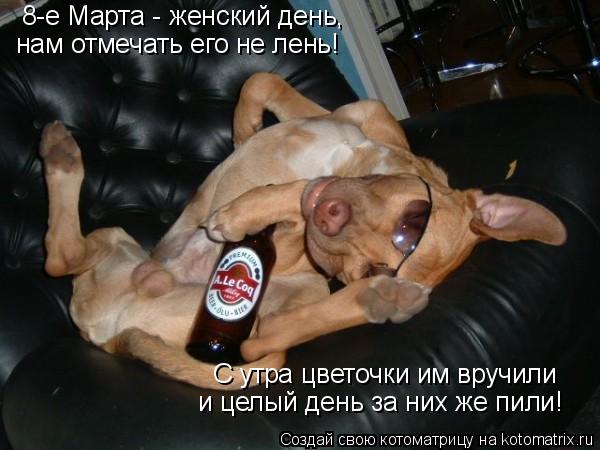 Котоматрица: 8-е Марта - женский день,  нам отмечать его не лень! С утра цветочки им вручили и целый день за них же пили!