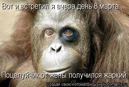 Котоматрица: Вот и встретил я вчера день 8 марта... Поцелуйчик от жены получился жаркий