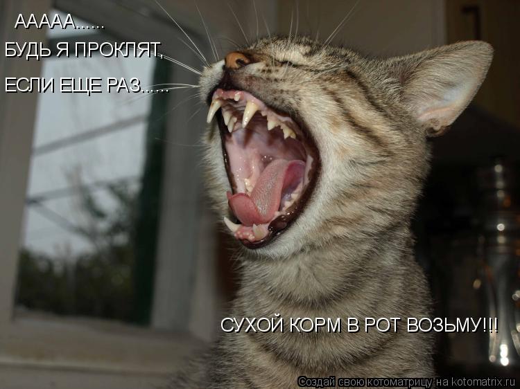 ААААА...... БУДЬ Я ПРОКЛЯТ, ЕСЛИ ЕЩЕ РАЗ...... СУХОЙ КОРМ В РОТ ВОЗЬМУ!!!... Котоматрица: ААААА...... БУДЬ Я ПРОКЛЯТ, ЕСЛИ ЕЩЕ РАЗ...... СУХОЙ КОРМ В РОТ ВОЗЬМУ!!!