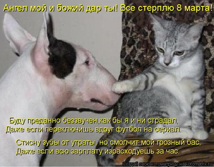 Ангел мой и божий дар ты! Все стерплю 8 марта! Буду преданно беззвучен,как бы я и ни страдал, Даже... Котоматрица: Ангел мой и божий дар ты! Все стерплю 8 марта! Буду преданно беззвучен,как бы я и ни страдал, Даже если переключишь вдруг футбол на сериал. С