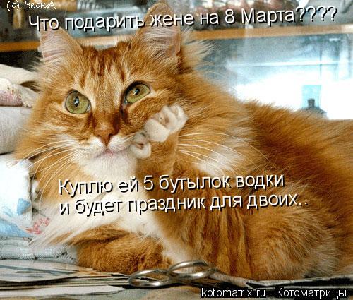 Что подарить жене на 8 Марта???? Куплю ей 5 бутылок водки и будет праздник для двоих..... Котоматрица: Что подарить жене на 8 Марта???? Куплю ей 5 бутылок водки и будет праздник для двоих..